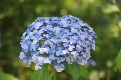 豊景神社の庭園