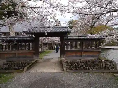 大覚寺(京都府)