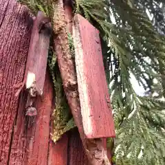 七重浜海津見神社(北海道)