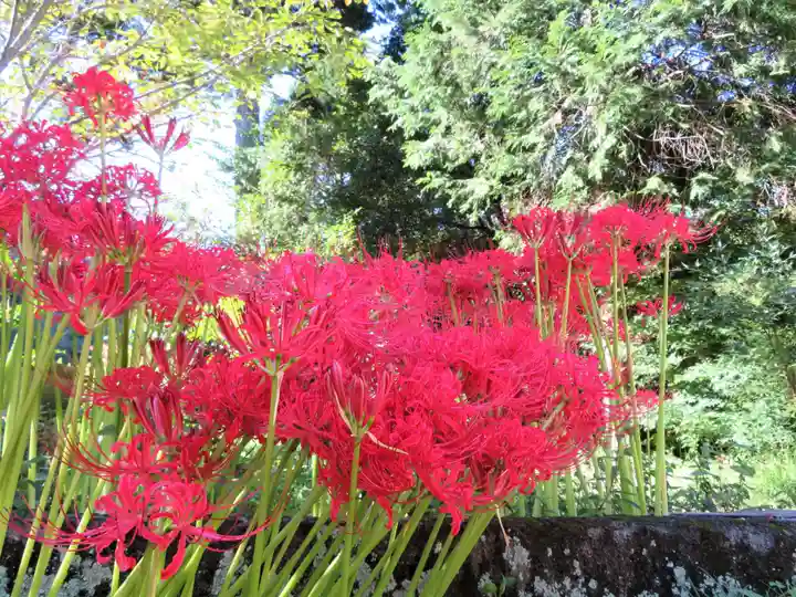 賀羅加波神社(広島県)