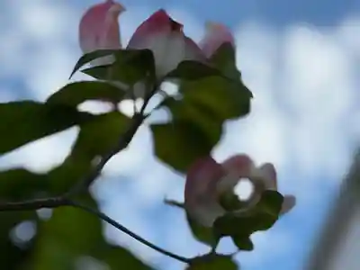 西方山極楽寺(岐阜県)