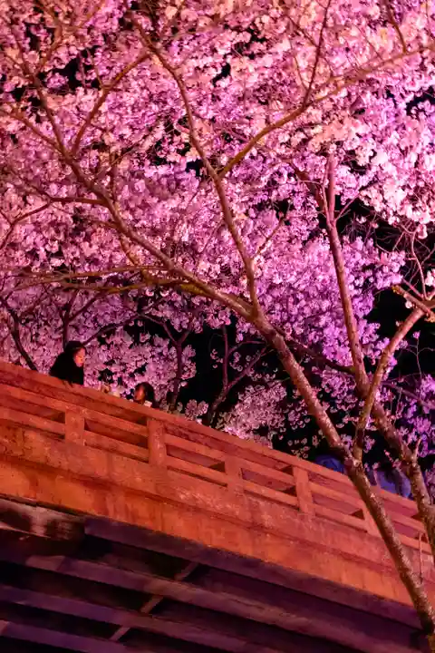 新城藤原神社(長野県)