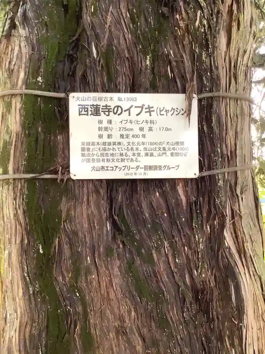 西蓮寺のその他建物