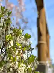 新海三社神社(長野県)