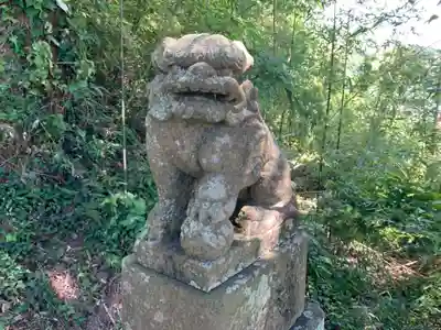 男金神社の狛犬