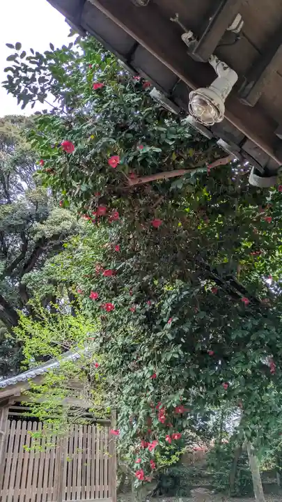 旦椋神社(京都府)