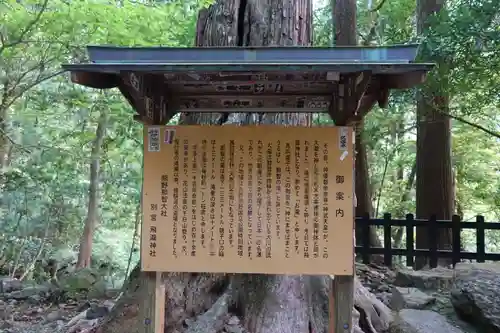 飛瀧神社（熊野那智大社別宮）の歴史