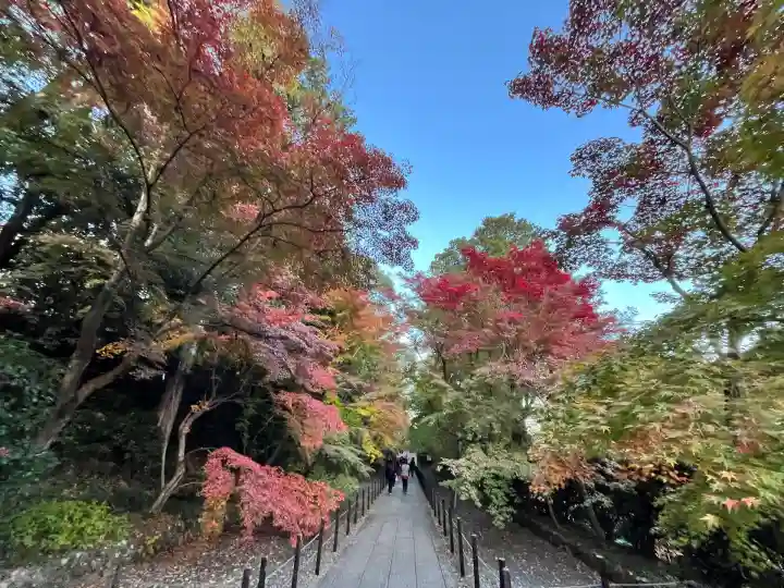 光明寺(粟生光明寺)(京都府)