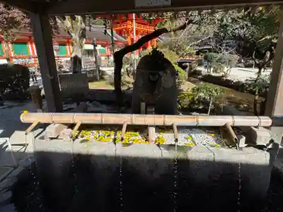 賀茂別雷神社（上賀茂神社）(京都府)