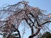 日枝神社(静岡県)