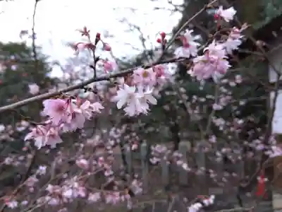 平野神社(京都府)