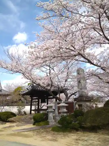 法輪寺の建物その他