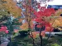 天授庵(京都府)