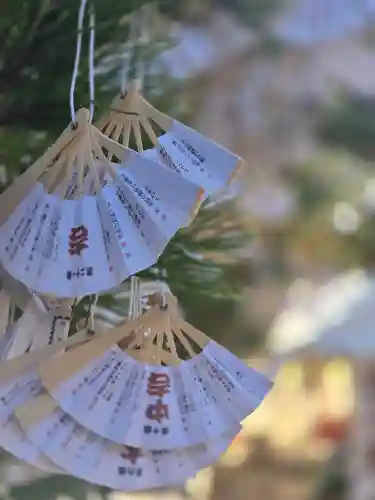 智恩寺(京都府)