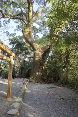 月讀宮（皇大神宮別宮）(三重県)