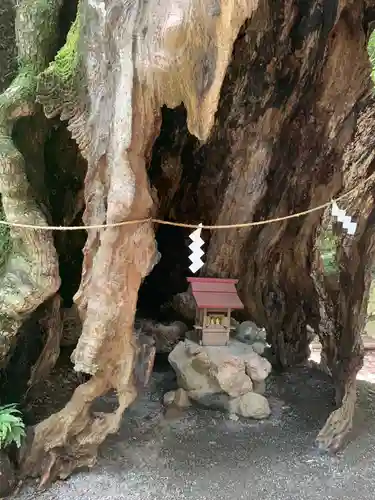 來宮神社の末社・摂社