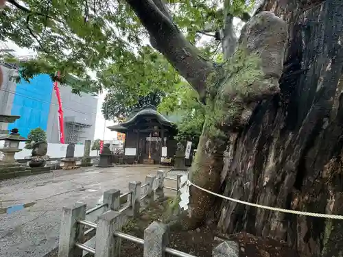 阿邪訶根神社(福島県)