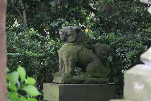 愛宕神社の狛犬