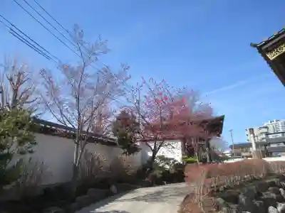 大林寺(神奈川県)