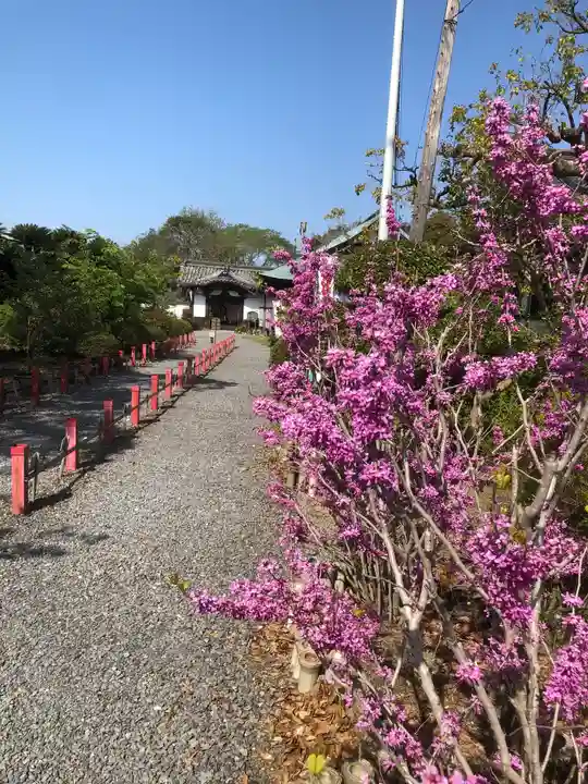 大御堂寺(野間大坊)の御朱印