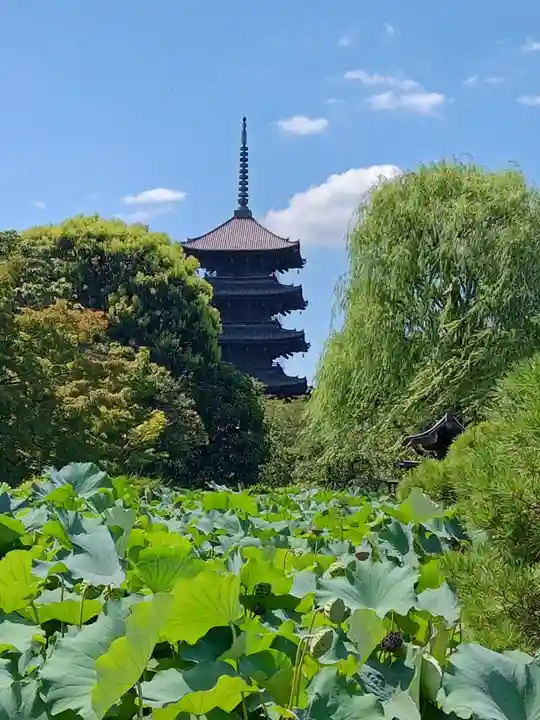東寺(教王護国寺)(京都府)