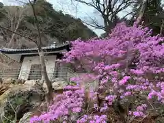 普門寺(切り絵御朱印発祥の寺)の自然