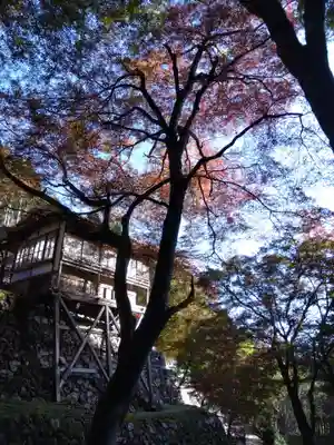 古知谷阿弥陀寺(京都府)