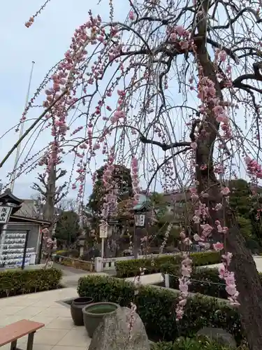 常性寺(東京都)