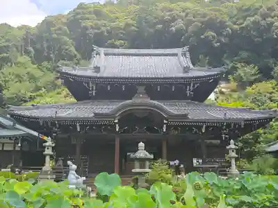 三室戸寺(京都府)