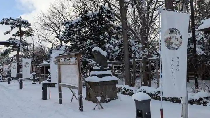旭川神社の七五三参
