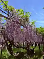 龍城神社(愛知県)