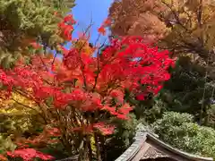 手長神社(長野県)