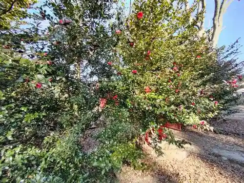 神炊館神社 ⁂奥州須賀川総鎮守⁂(福島県)