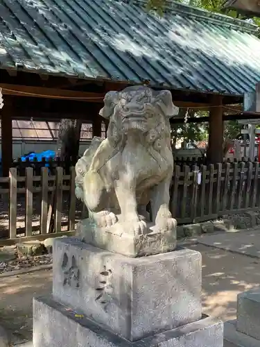 那古野神社の狛犬