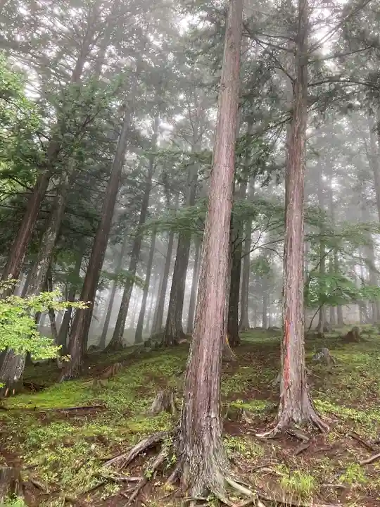 三峯神社(埼玉県)