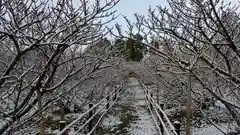 仁和寺の庭園