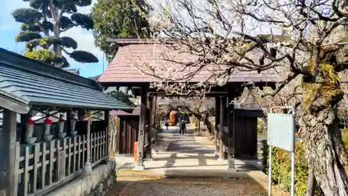 地蔵院(東京都)