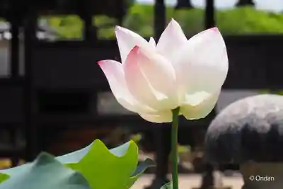 歓喜院(兵庫県)