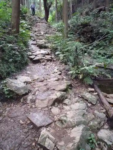 金刀比羅神社の自然