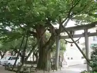 羽咋神社(石川県)