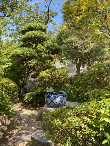 光照寺(神奈川県)