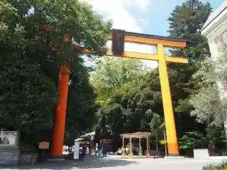 川越氷川神社の鳥居