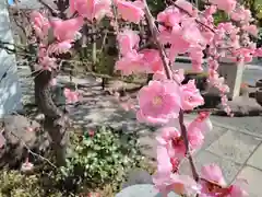 太融寺(大阪府)