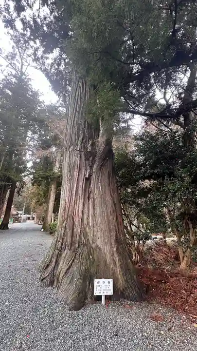 安志加茂神社(兵庫県)