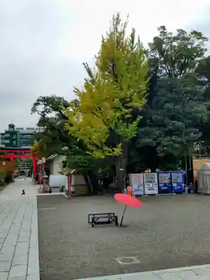 富岡八幡宮(東京都)