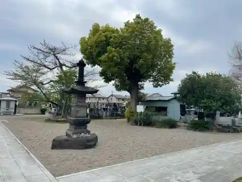 養報寺の{uncategorized: "未分類", other: "その他", undefined: "問題あり", building: "その他建物", grave: "お墓", sacred_gate: "鳥居", guardian: "狛犬", statue: "像", buddha: "仏像", history: "歴史", nature: "自然", garden: "庭園", animal: "動物", pagoda: "塔", temizu: "手水舎", mountain_gate: "山門・神門", sanctuary: "本殿・本堂", subordinate: "末社・摂社", art: "芸術", scenery: "景色", jizo: "地蔵", ema: "絵馬", goshuin: "御朱印", omikuji: "おみくじ", items: "授与品その他", amulet: "お守り", goshuincho: "御朱印帳", eats: "食事", festival: "お祭り", votive_dance: "神楽", shichigosan: "七五三参", wedding: "結婚式", experience: "体験その他", initially: "初詣", around: "周辺", anti_infection: "感染症対策"}
