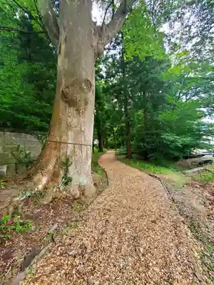 神炊館神社 ⁂奥州須賀川総鎮守⁂(福島県)