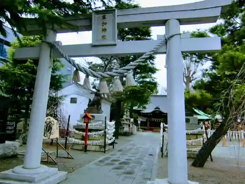 草加神社の鳥居