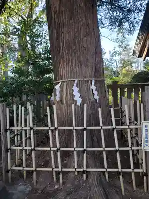 大宮前春日神社(東京都)