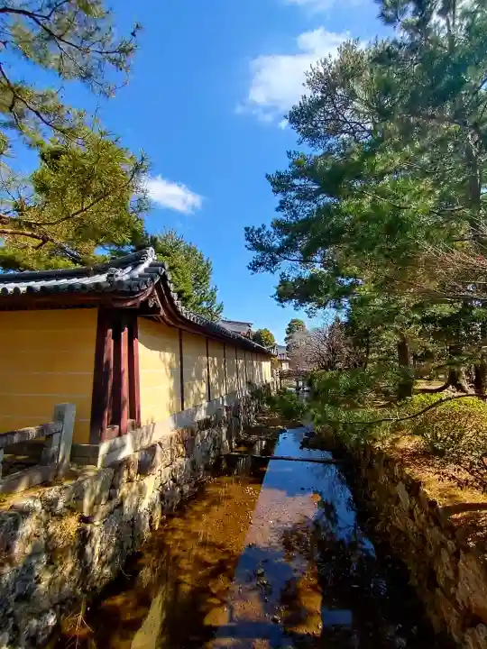 大覚寺の{uncategorized: "未分類", other: "その他", undefined: "問題あり", building: "その他建物", grave: "お墓", sacred_gate: "鳥居", guardian: "狛犬", statue: "像", buddha: "仏像", history: "歴史", nature: "自然", garden: "庭園", animal: "動物", pagoda: "塔", temizu: "手水舎", mountain_gate: "山門・神門", sanctuary: "本殿・本堂", subordinate: "末社・摂社", art: "芸術", scenery: "景色", jizo: "地蔵", ema: "絵馬", goshuin: "御朱印", omikuji: "おみくじ", items: "授与品その他", amulet: "お守り", goshuincho: "御朱印帳", eats: "食事", festival: "お祭り", votive_dance: "神楽", shichigosan: "七五三参", wedding: "結婚式", experience: "体験その他", initially: "初詣", around: "周辺", anti_infection: "感染症対策"}